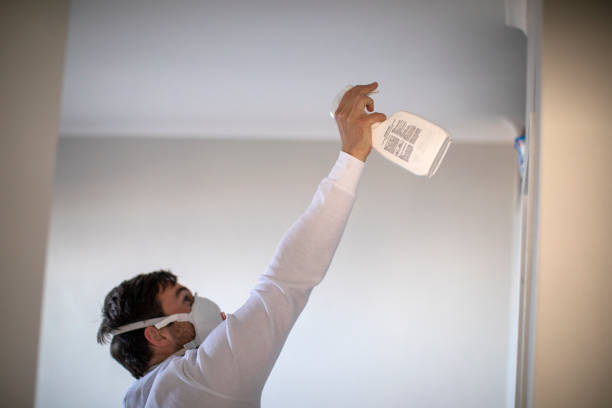 Reliable Weatherby Lake, MO Mold Remediation Solutions