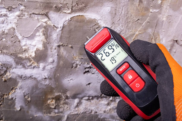 Best Bathroom Mold Remediation in Weatherby Lake, MO