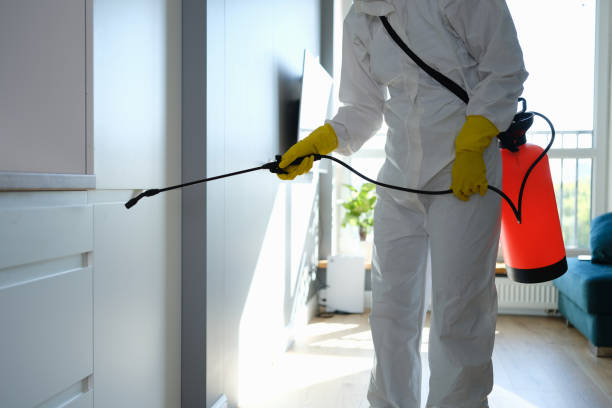 Best Crawl Space Mold Remediation in Weatherby Lake, MO