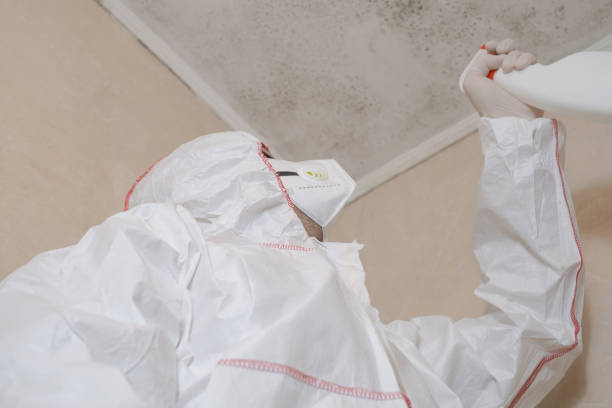Best Bathroom Mold Remediation in Weatherby Lake, MO